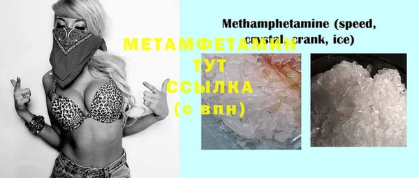 ГАЛЛЮЦИНОГЕННЫЕ ГРИБЫ Вяземский