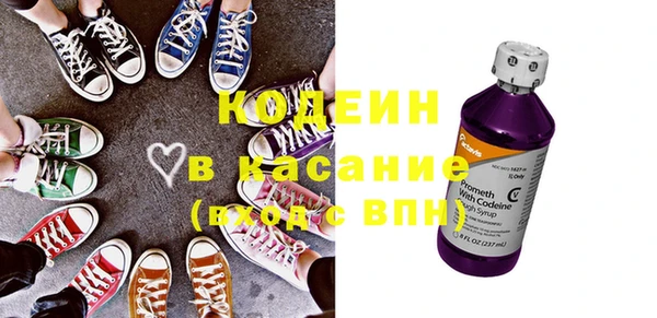 ГАЛЛЮЦИНОГЕННЫЕ ГРИБЫ Вяземский
