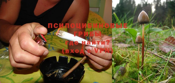 ГАЛЛЮЦИНОГЕННЫЕ ГРИБЫ Вяземский