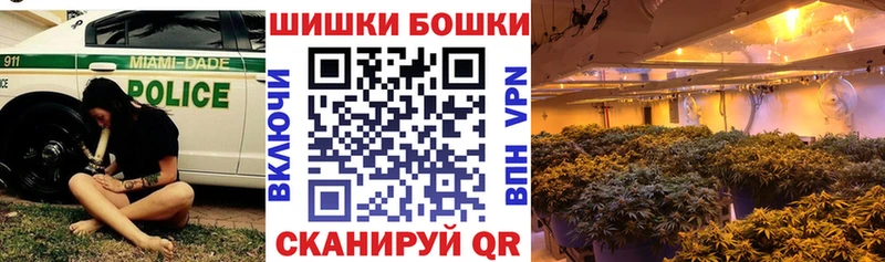 закладка  Отрадная  Канабис планчик 